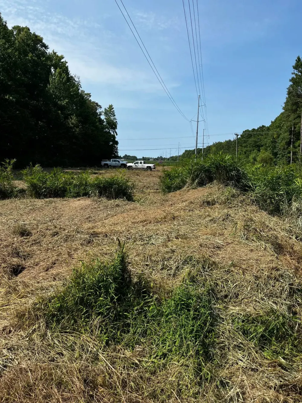 3041 Indian River Road Virginia Beach, VA 23456