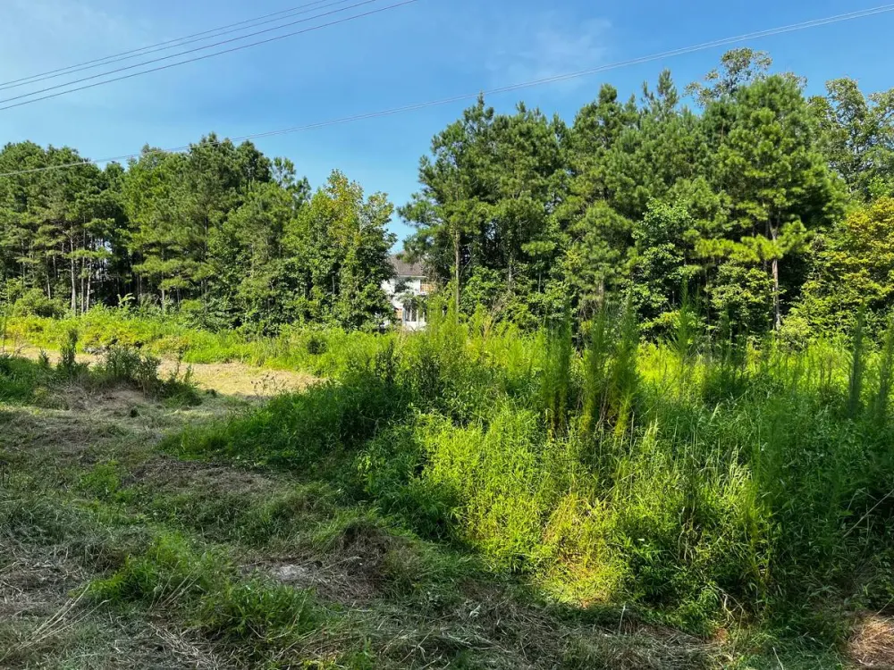 3041 Indian River Road Virginia Beach, VA 23456