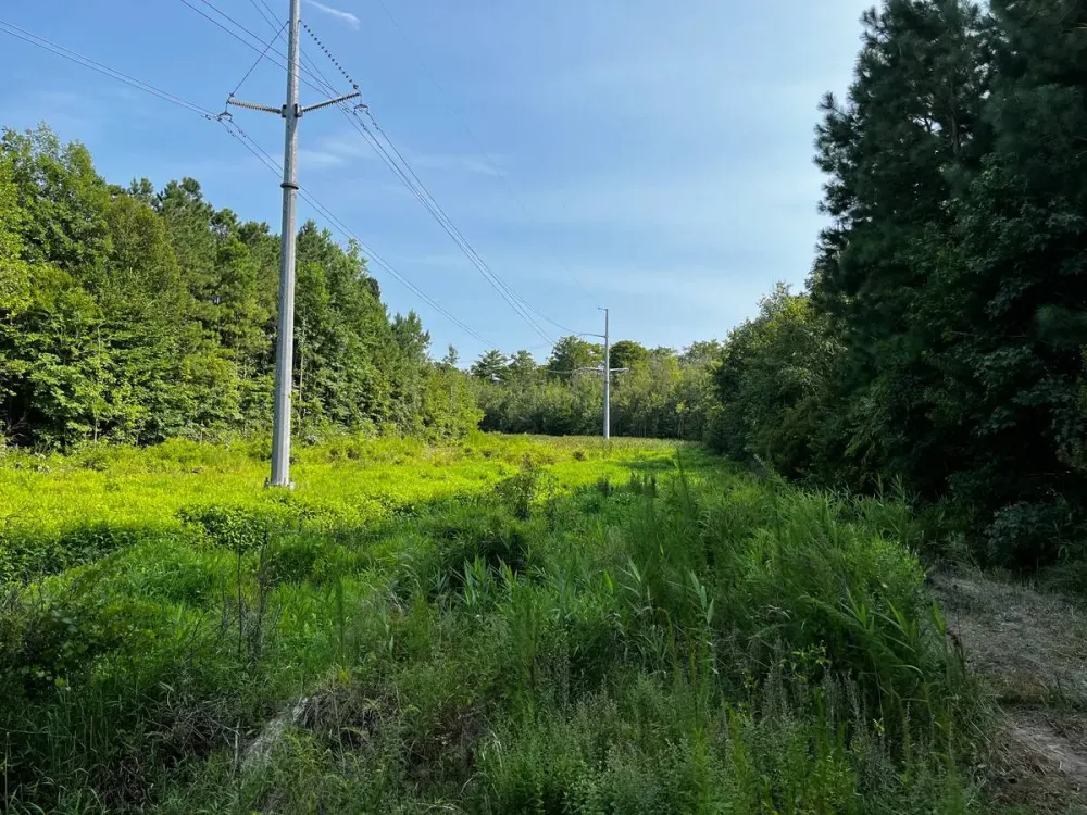 3041 Indian River Road Virginia Beach, VA 23456