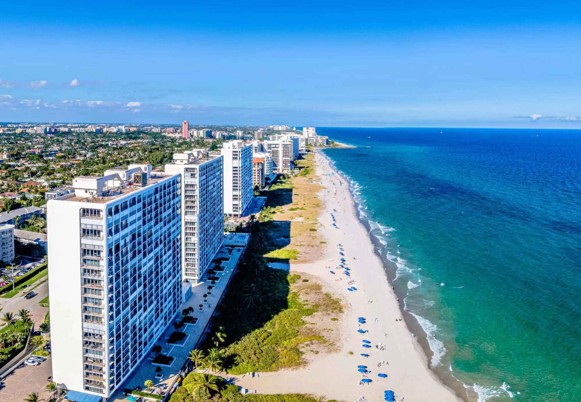 Damian Aliseo | EXP Realty LLC Photo