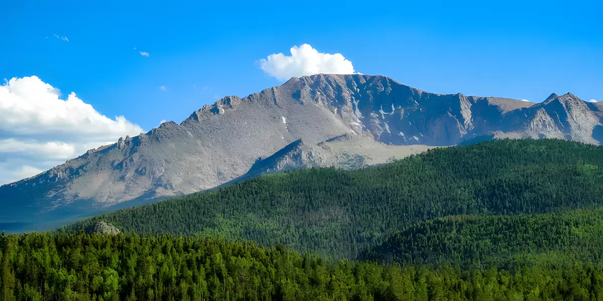 Toby Martinez | Keller Williams Realty Downtown LLC Photo