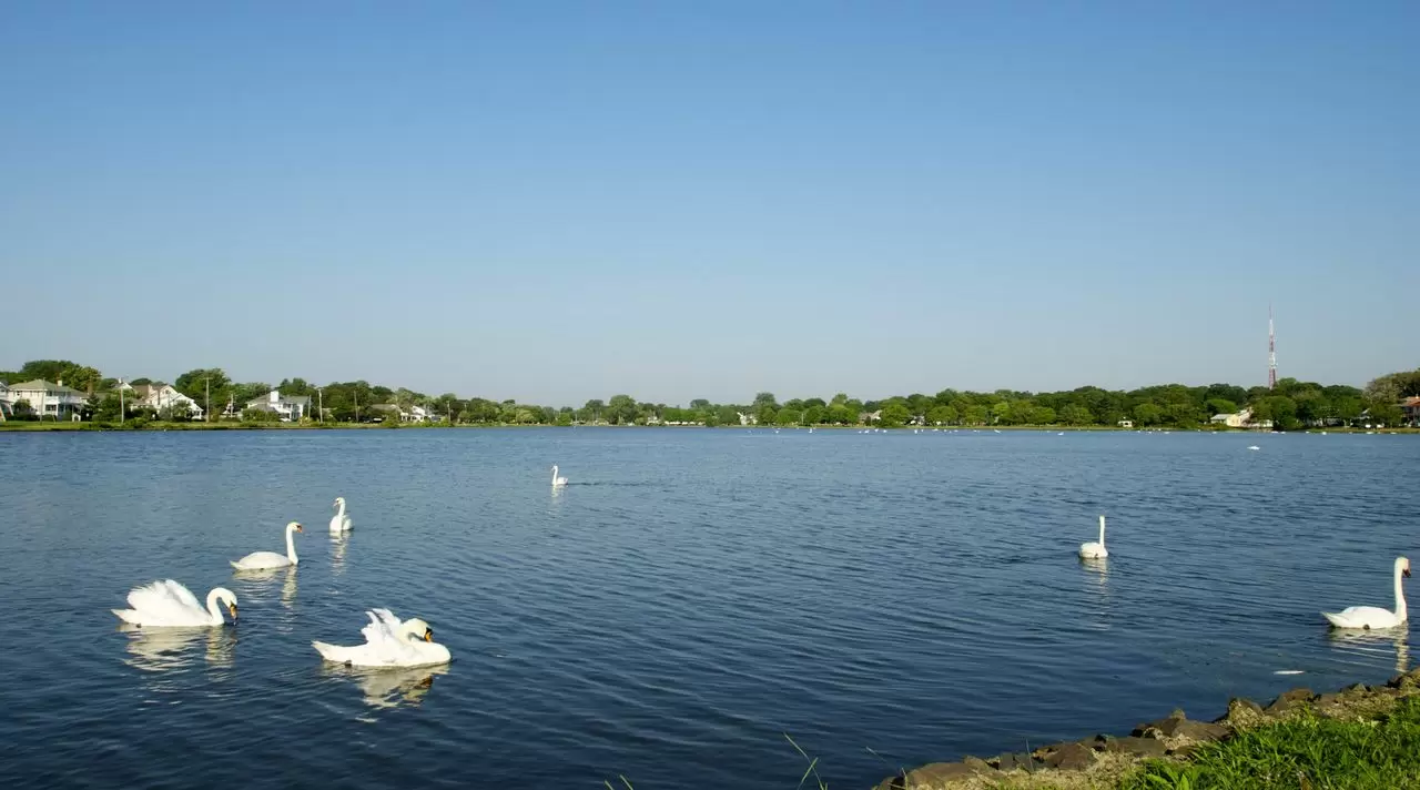 Dennis Interdonato | Keller Williams Realty Ocean Living Photo