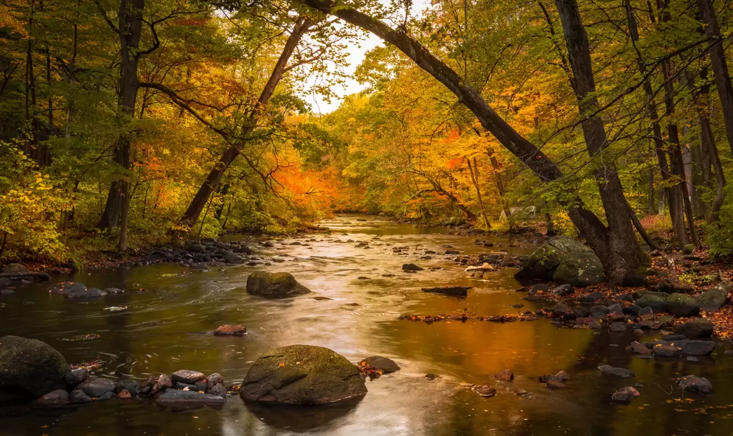 Dennis Interdonato | Keller Williams Realty Ocean Living Photo