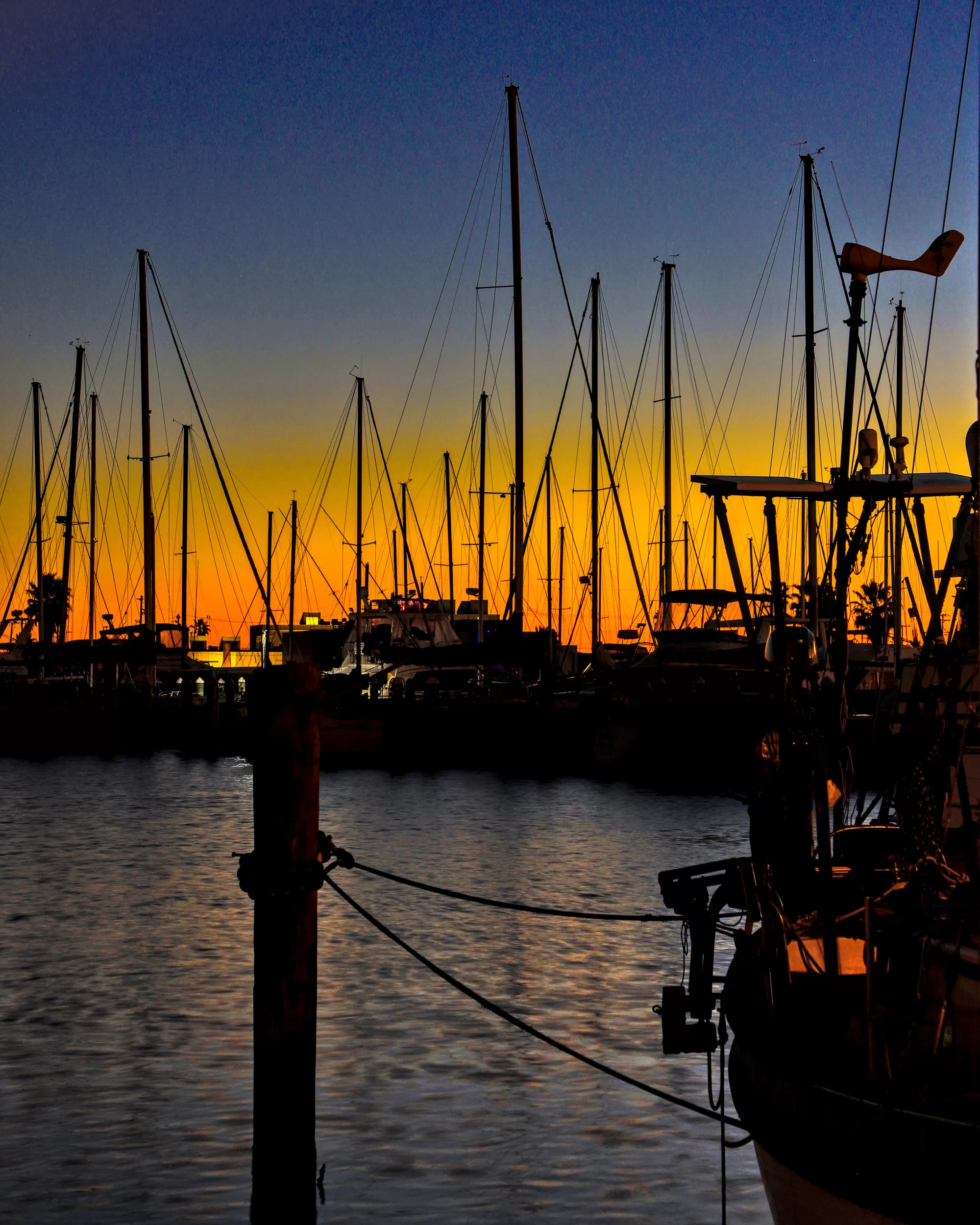 Lindsy Clark | LPT Realty, LLC Photo