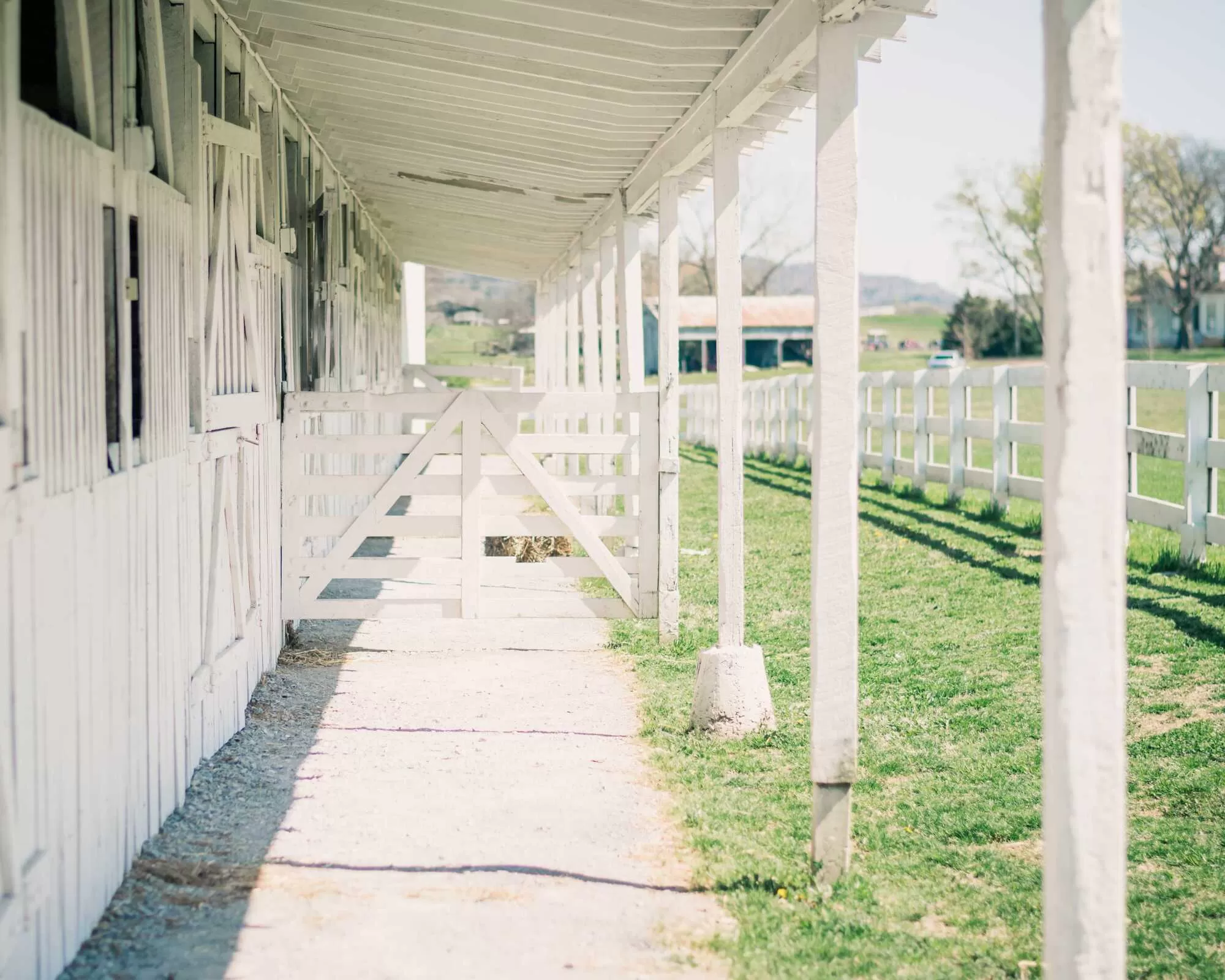 Alexis Ann Malsbury Photo