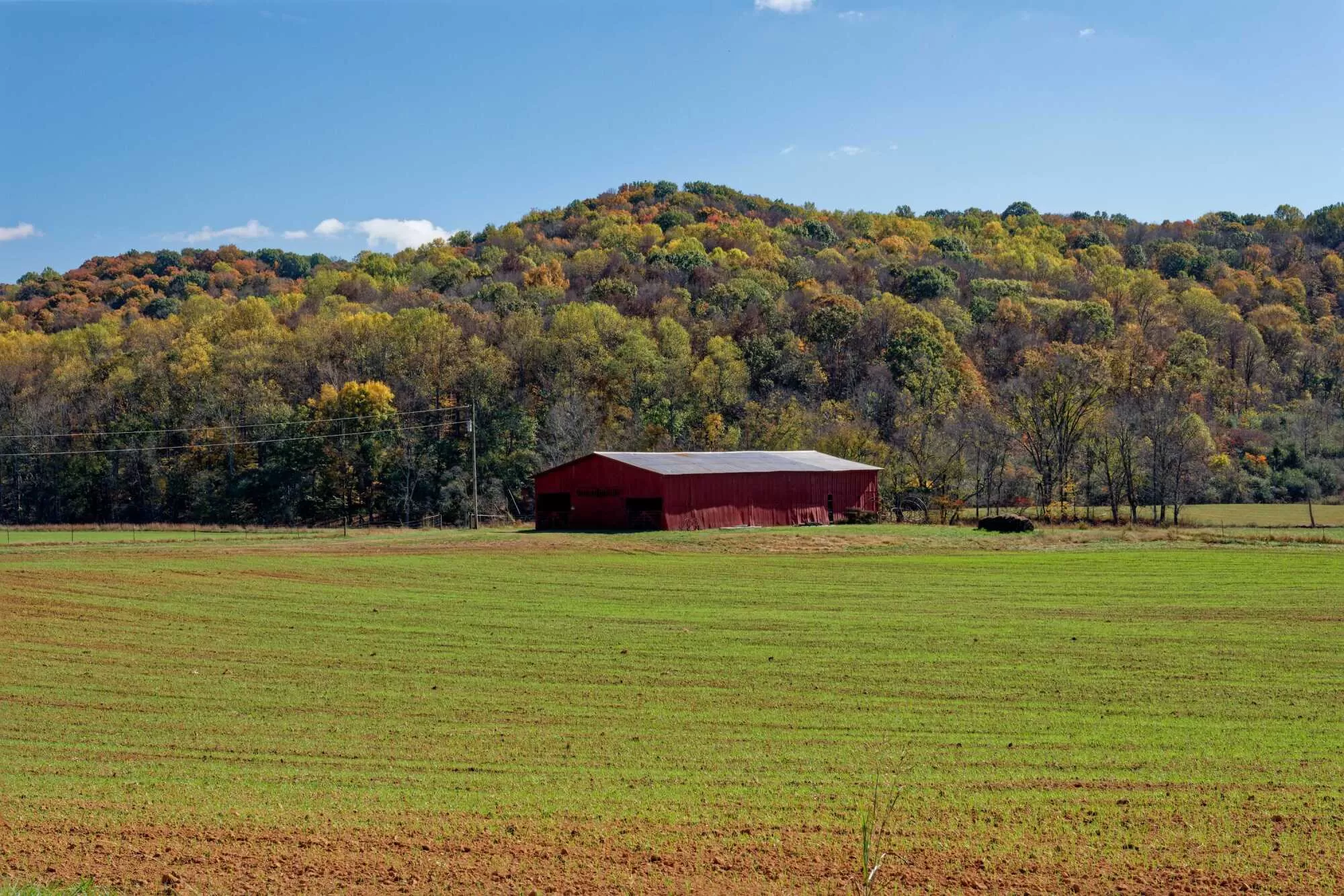 Alexis Ann Malsbury Photo