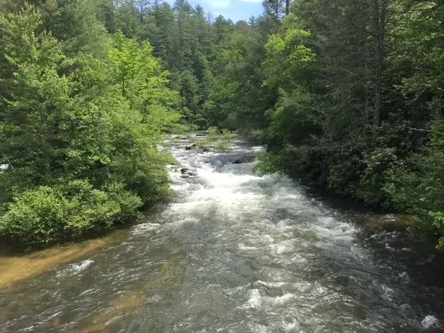 Andrew Brooks | Cummings Cove Realty Photo