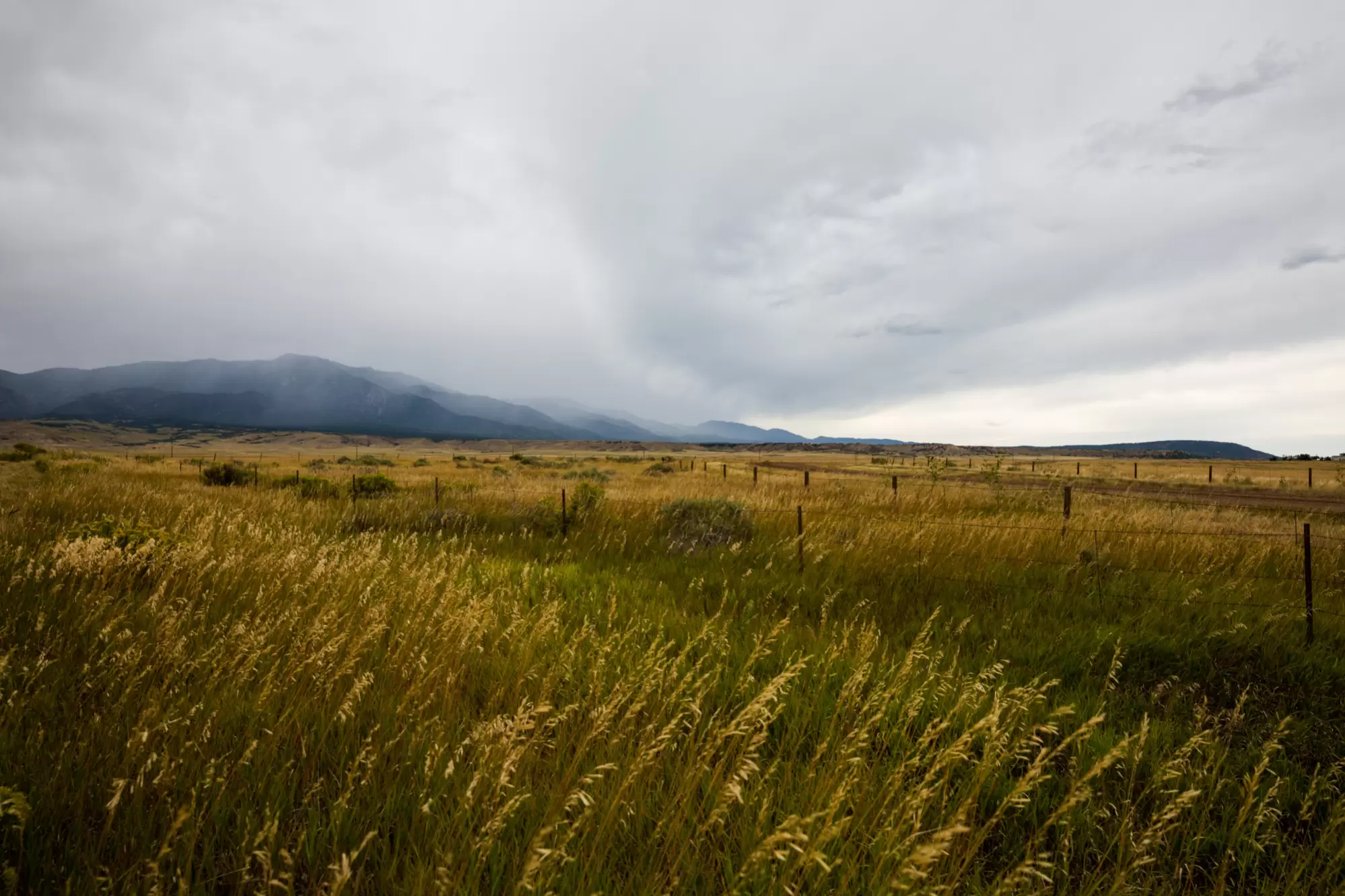 Colorado Realty & Land Co. Photo