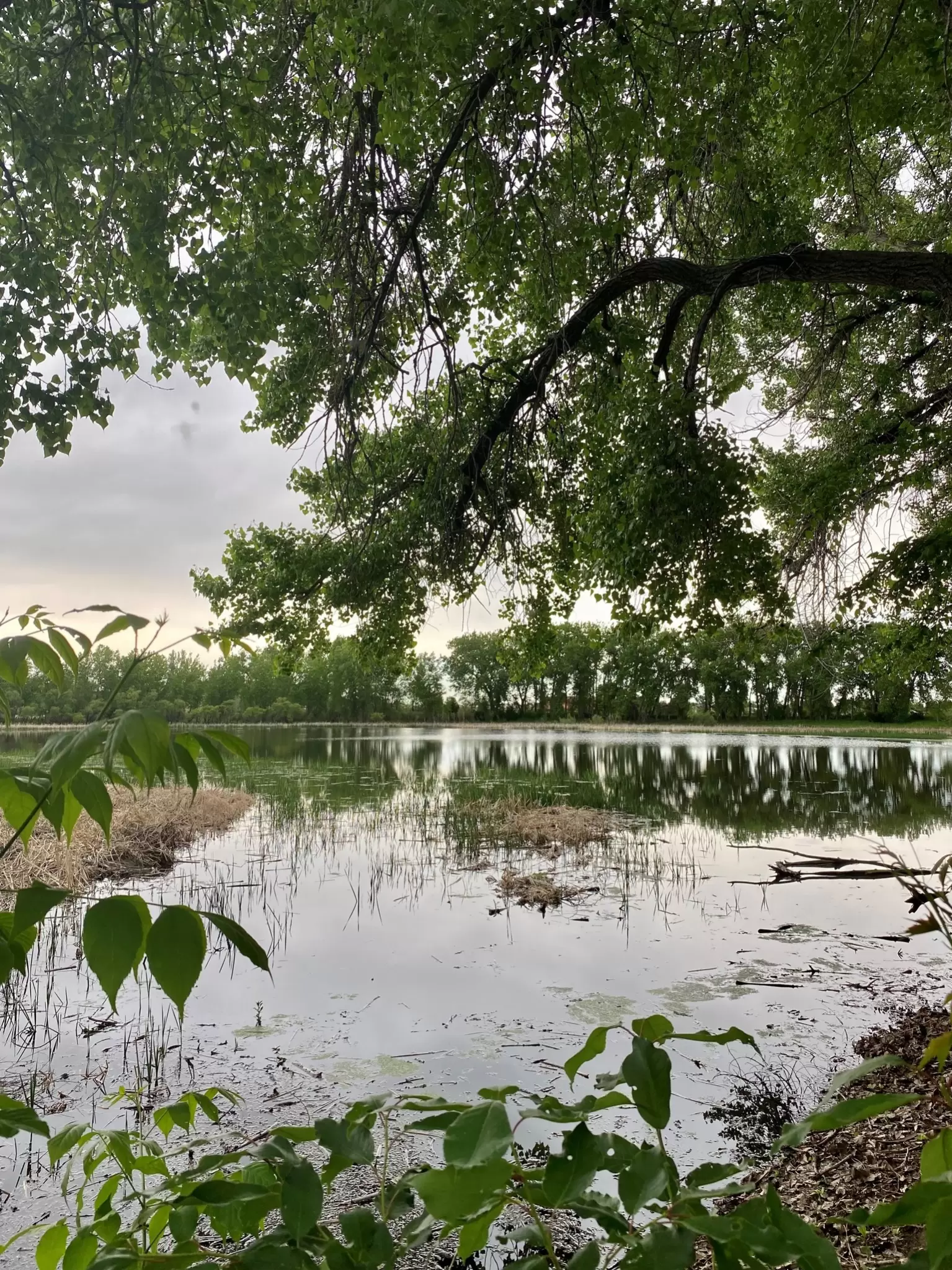 Kevin Williams | Keller Williams Advantage Realty LLC Photo