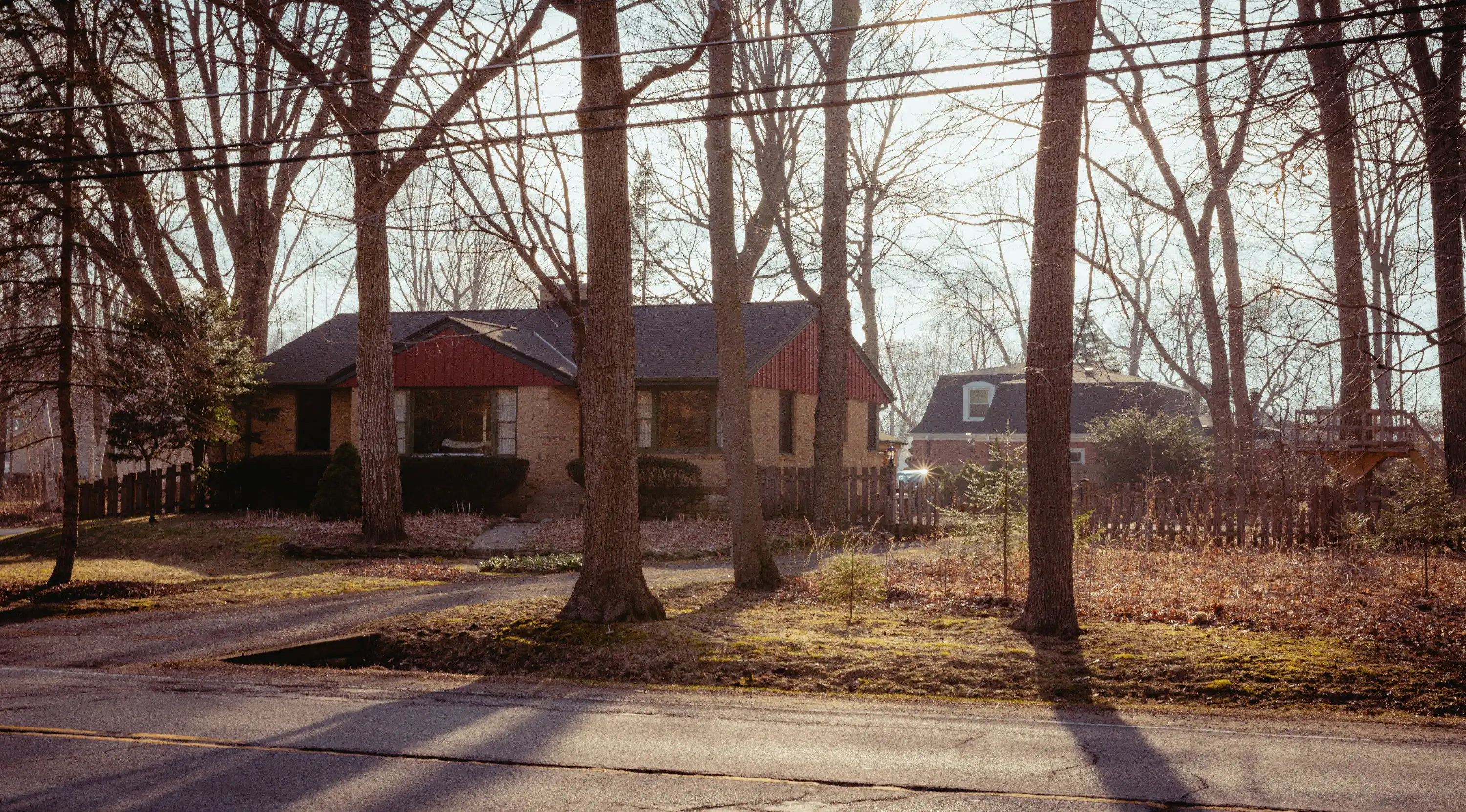 Michelle Timberlake Photo