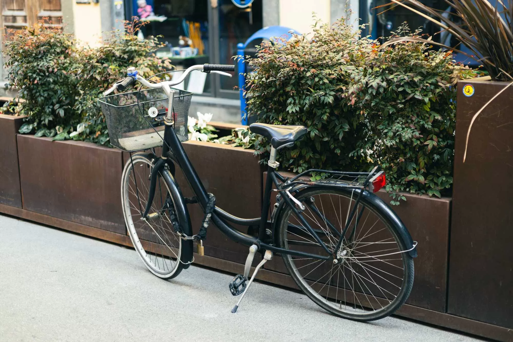 Amir Behdani | Behdani Realty Company Photo