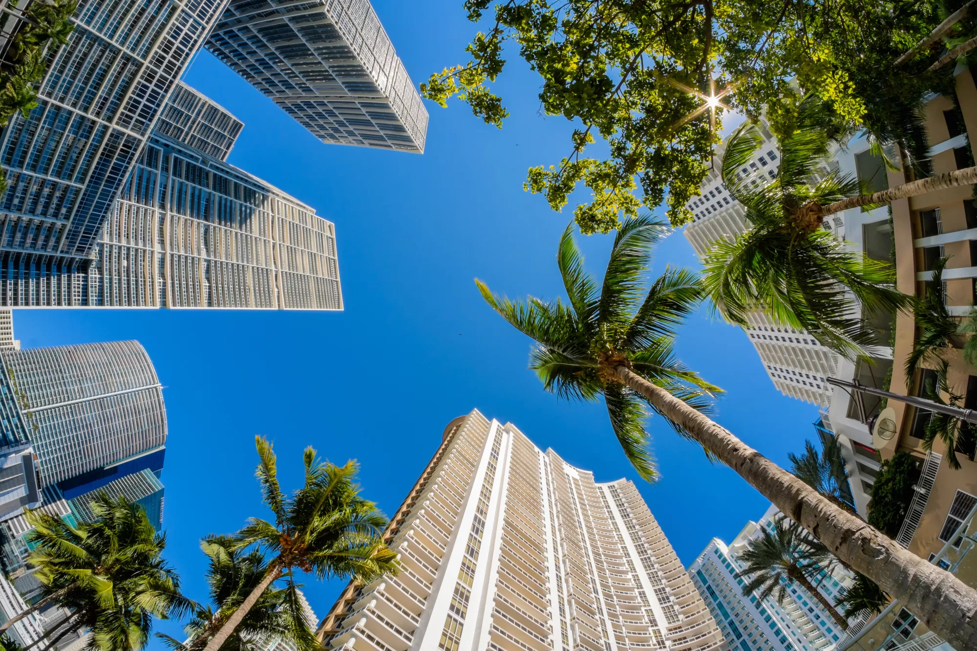 Naples Luxury Realty Photo