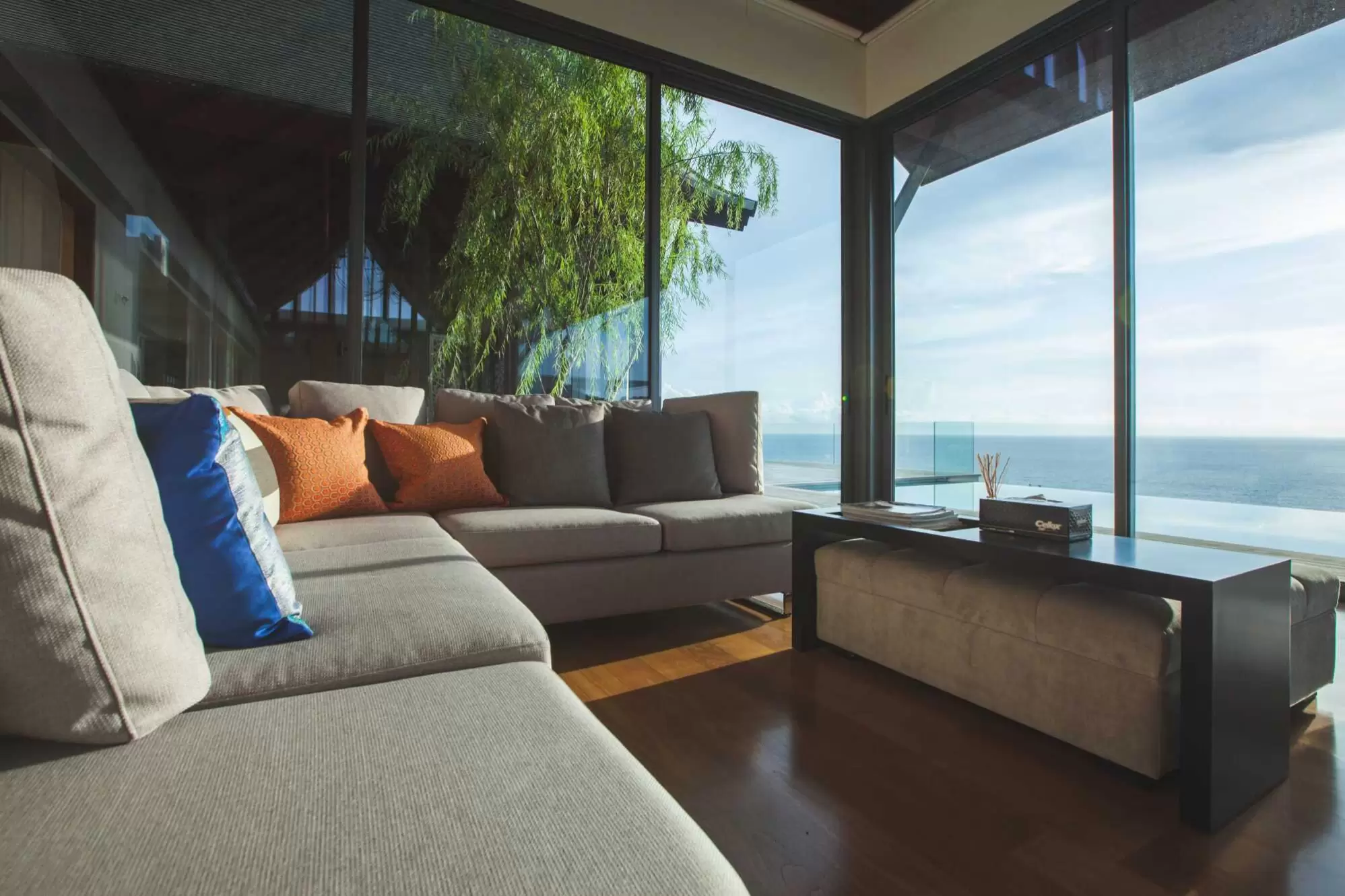 Raccshi Wilson Photo