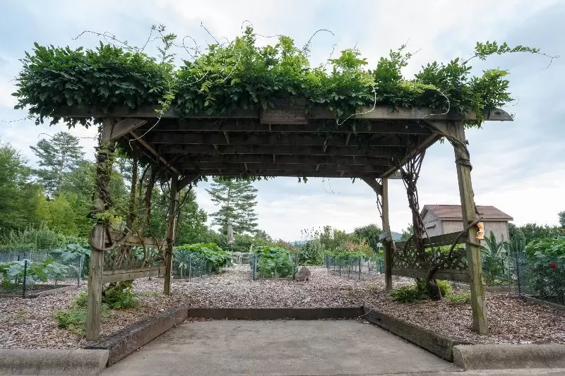 Andrew Brooks | Cummings Cove Photo