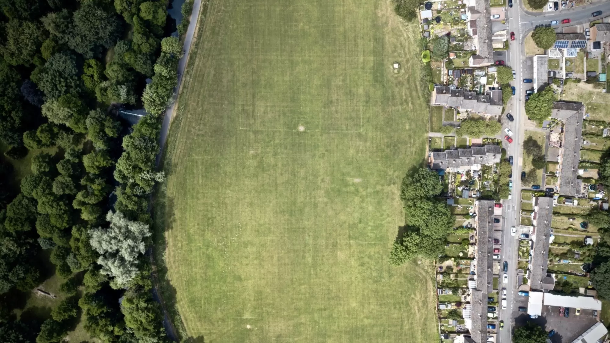 Grass field at daytime
