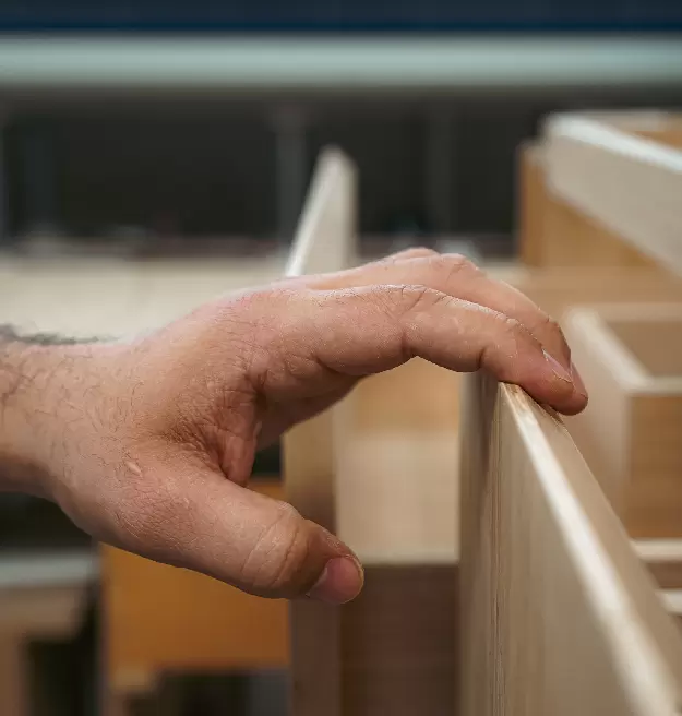 Prickly Pear Design Photo