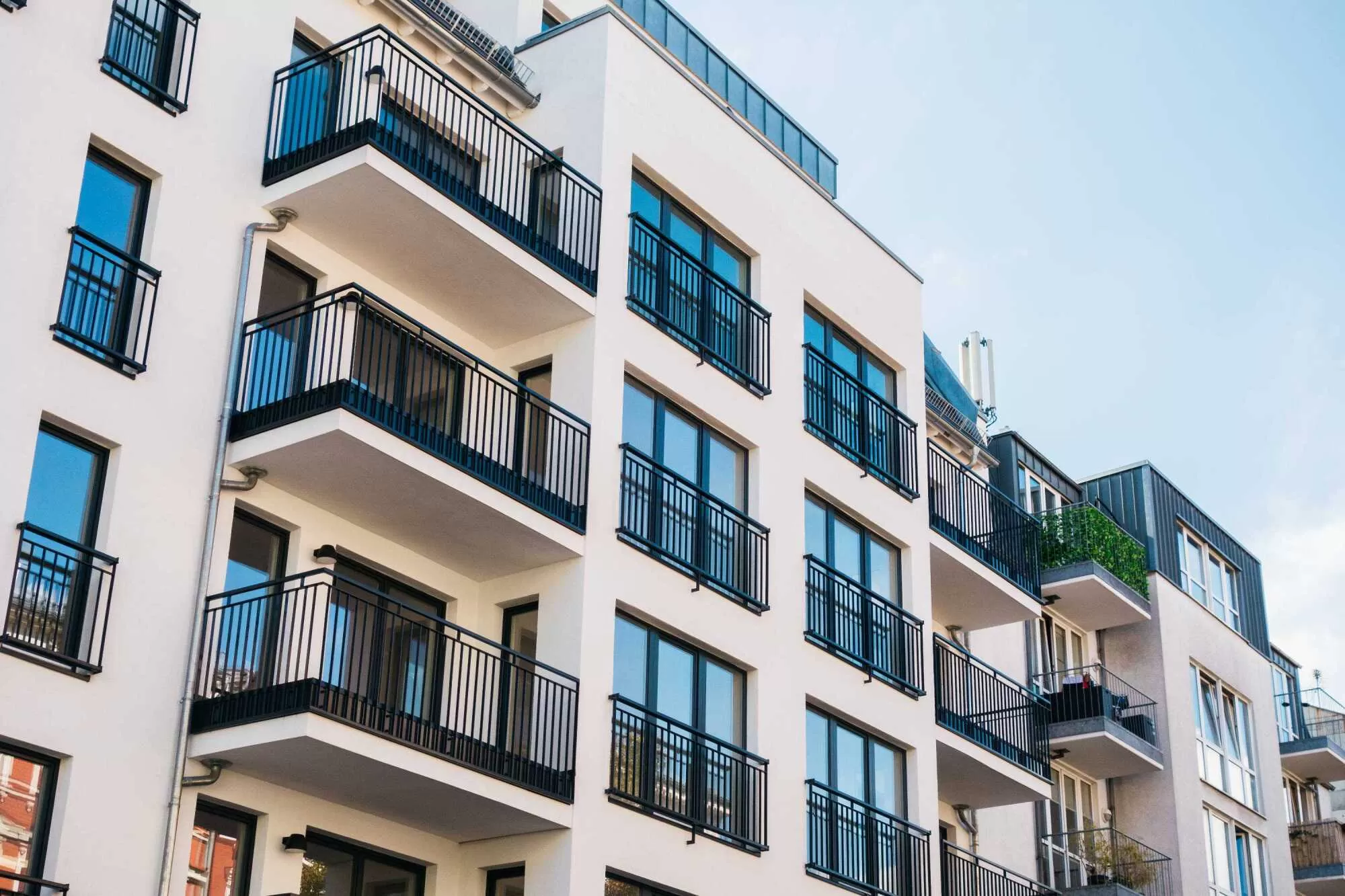 Risenow Management LLC Photo