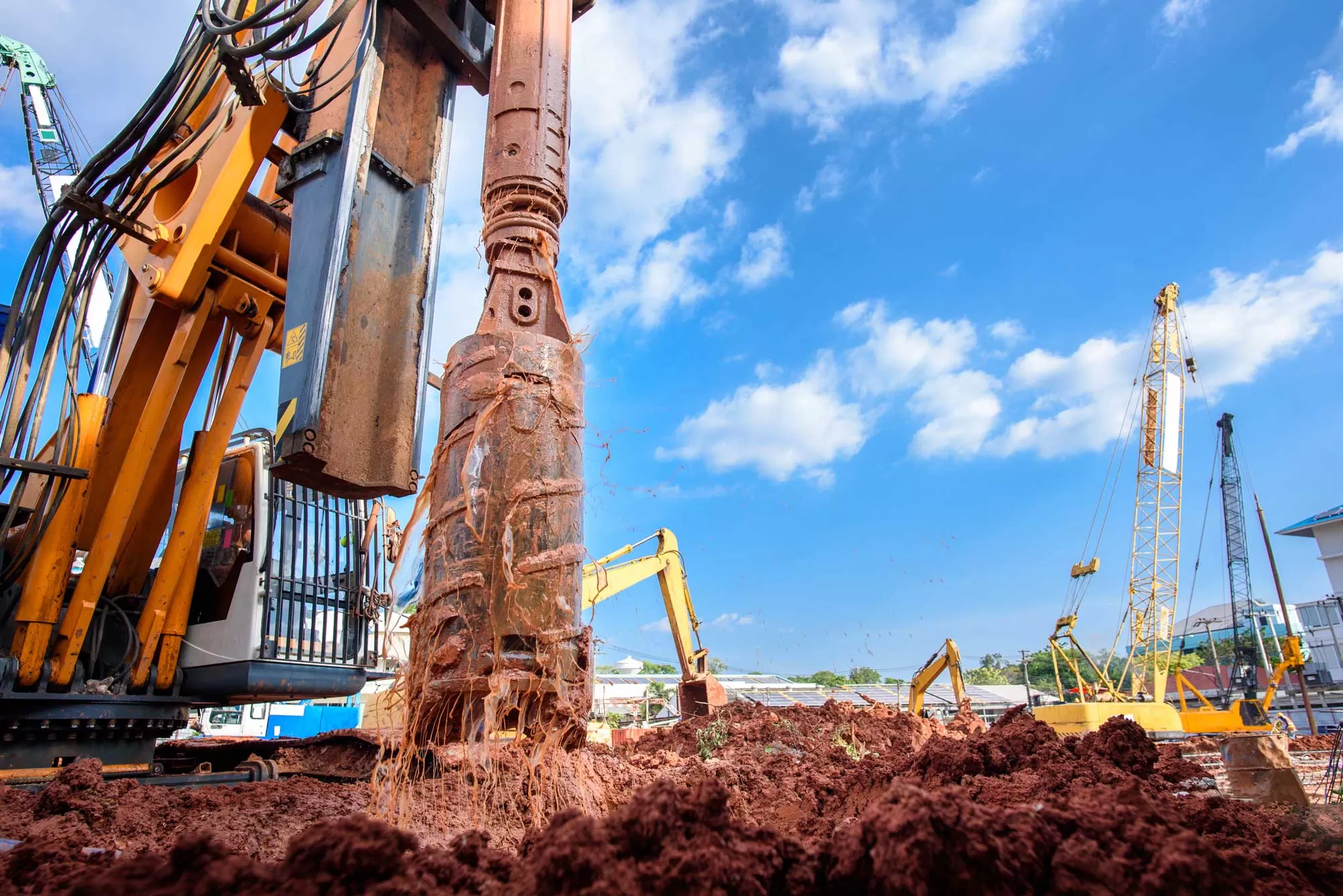 Qiana Didricksen Photo