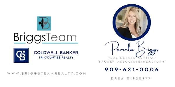 Pamela Briggs - Footer Logo