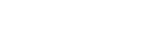 @VANTAGE Real Estate - Footer Logo